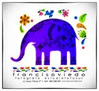 Estudio Francis Oviedo